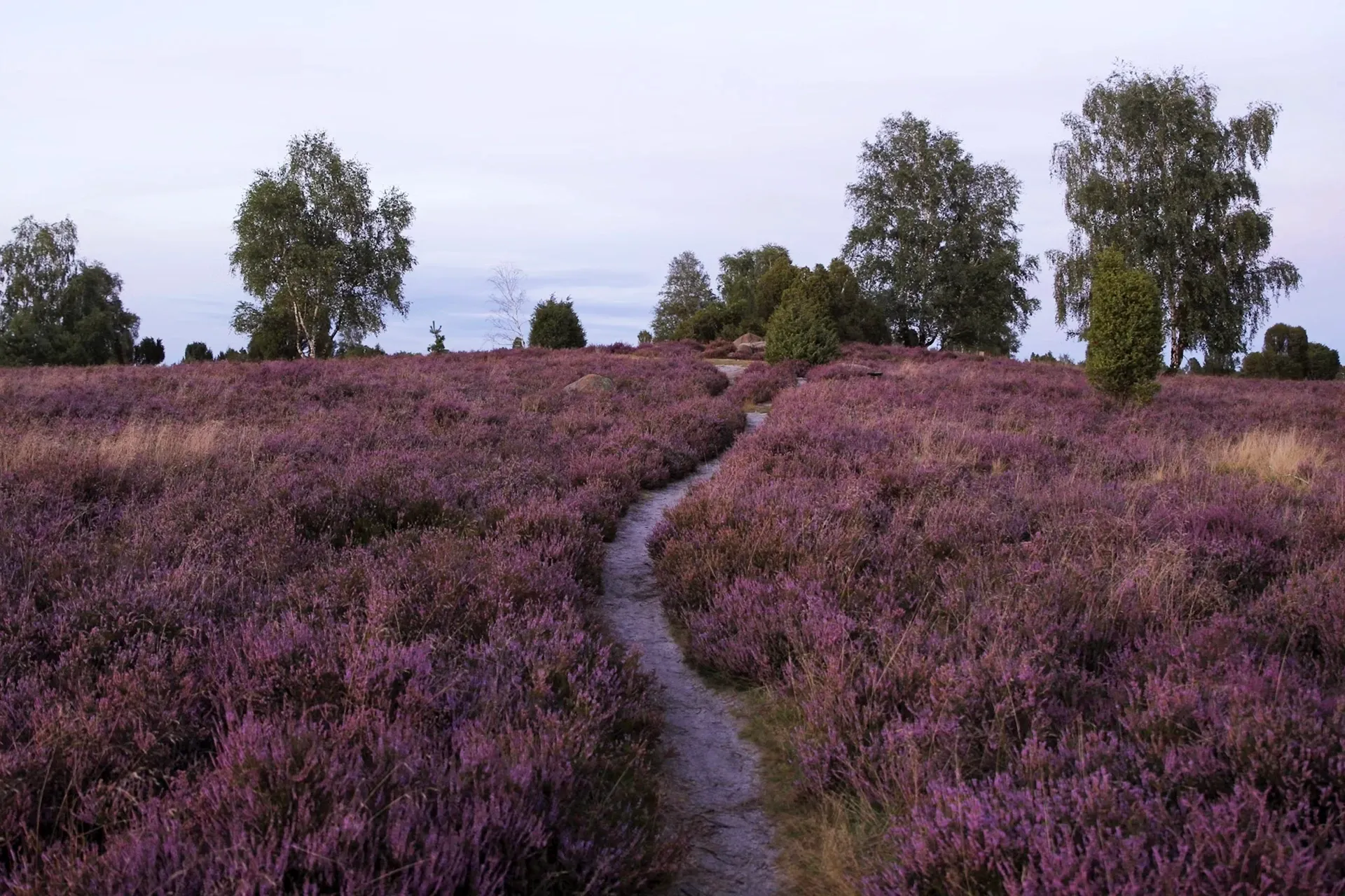 Camping in Niedersachsen
